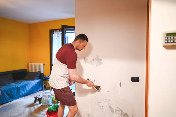 Best Industrial Mold Remediation in Muhlenberg Rk, PA